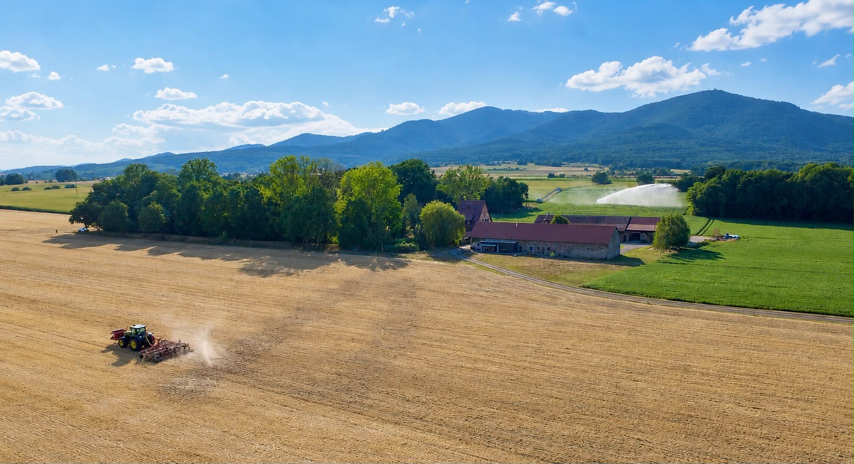terres de la ferme du weckenthal à berrwiller